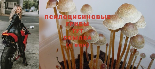 молекула духа Вязники