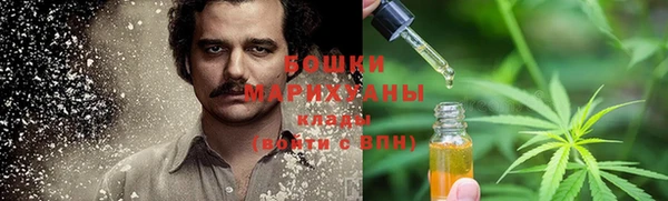 молекула духа Вязники