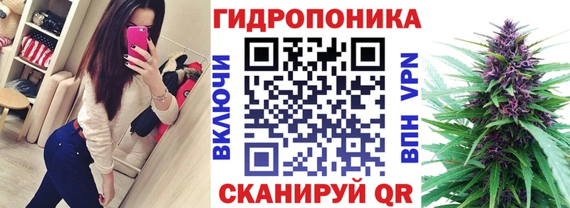 Купить где  Тосно  Канабис White Widow 